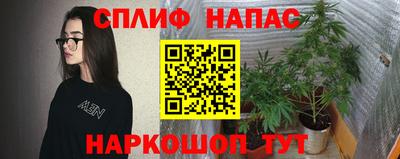 Альфа ПВП Заволжье