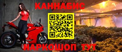 Альфа ПВП Заволжье