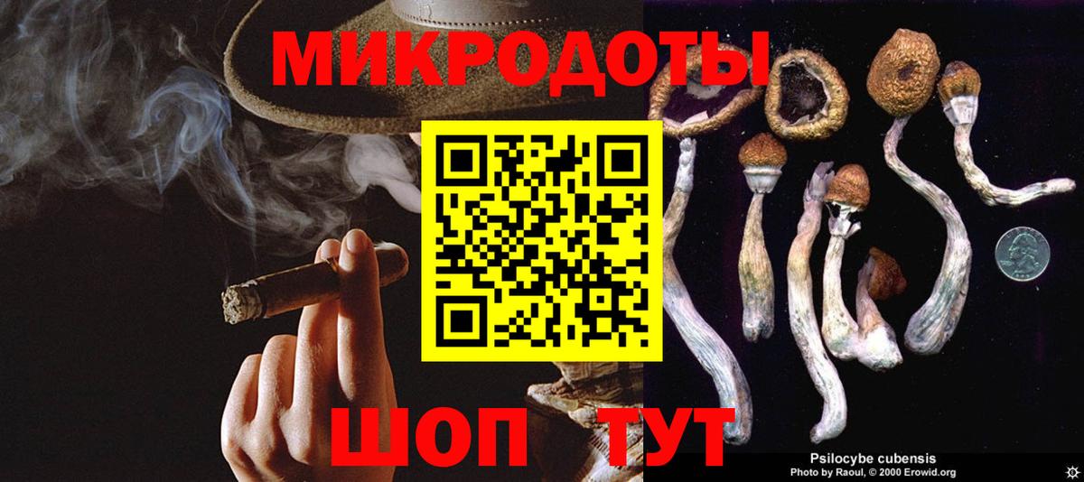 Галлюциногенные грибы GOLDEN TEACHER  даркнет сайт  Лыткарино  Вход с VPN 